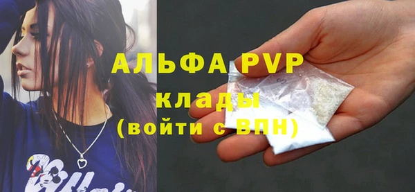 прущие грибы Михайловка