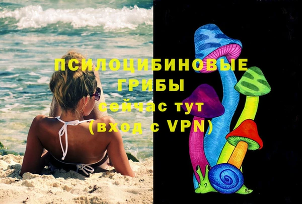 прущие грибы Михайловка