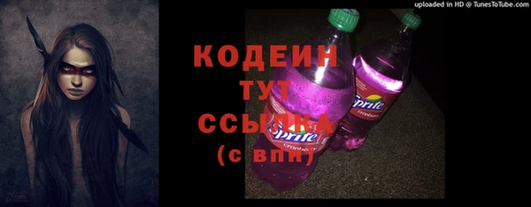 прущие грибы Михайловка