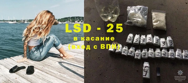 прущие грибы Михайловка