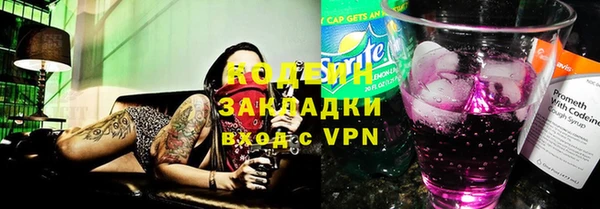 прущие грибы Михайловка