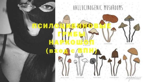 СК Горняк