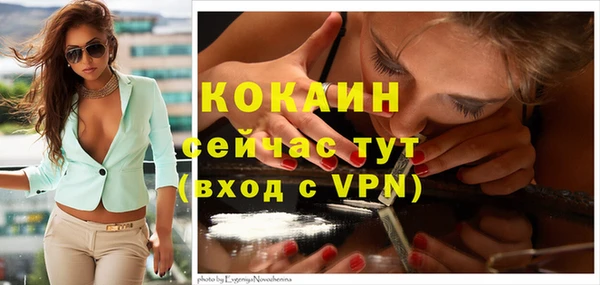 прущие грибы Михайловка