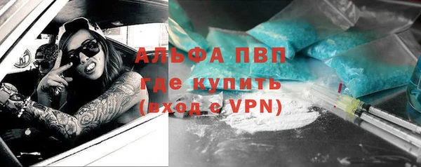 прущие грибы Михайловка