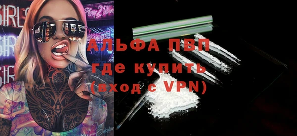 прущие грибы Михайловка