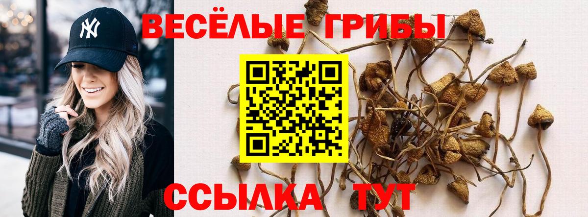 Галлюциногенные грибы прущие грибы  Галлюциногенные грибы прущие грибы  Вход с VPN  Юрга 